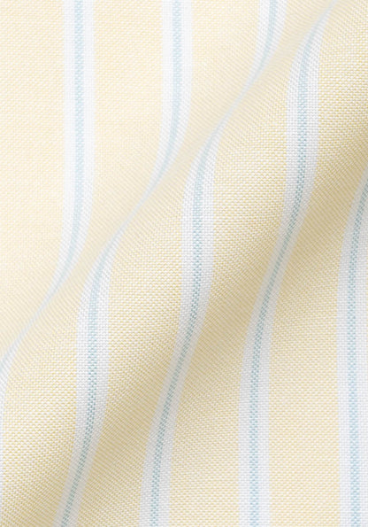 Crisp Yellow Oxford Stripes